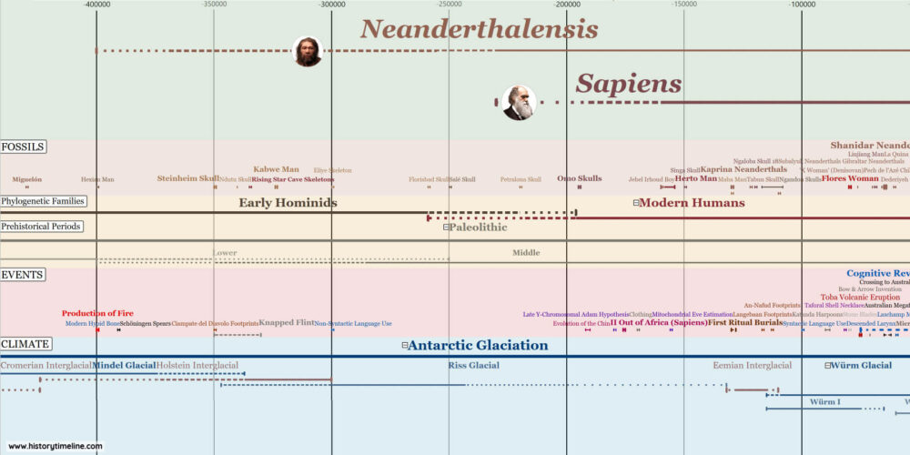 evolution of man timeline