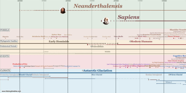 Human Evolution Timeline - Historytimeline.com